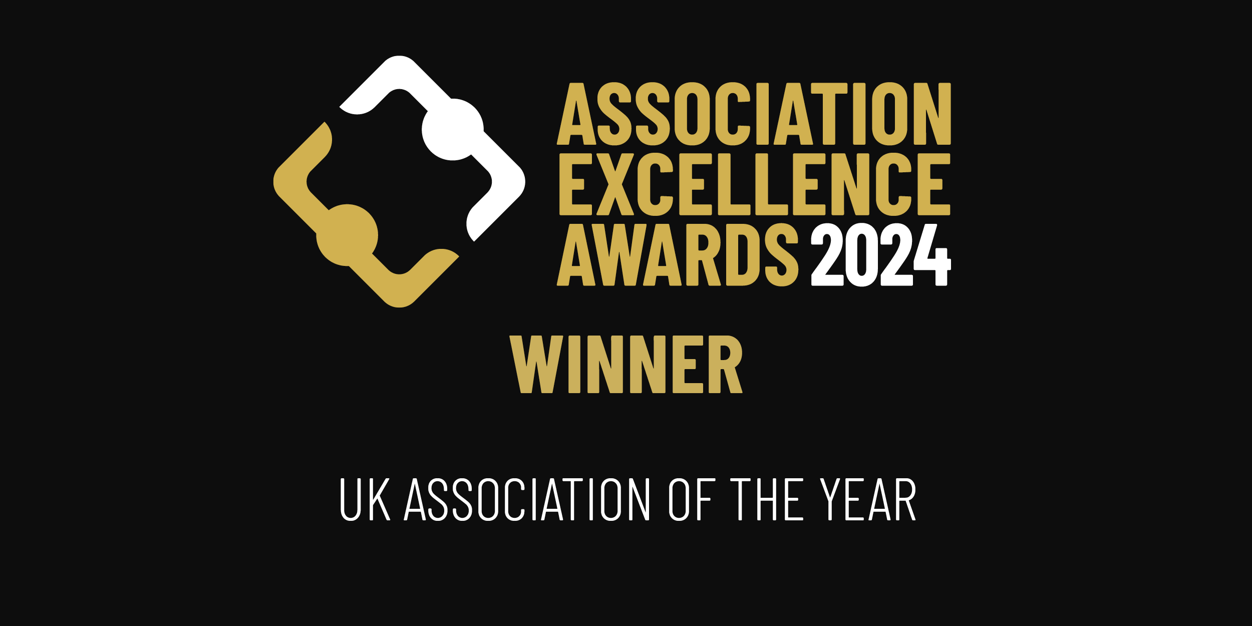 Association Excellence Awards Winner 2024